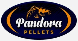 Свідоцтво торговельну марку № 335599 (заявка m202116974): pandora pellets