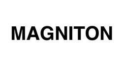 Свідоцтво торговельну марку № 316675 (заявка m202012121): magniton