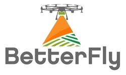 Свідоцтво торговельну марку № 310541 (заявка m202021150): better fly; betterfly