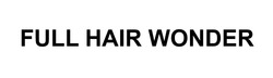 Заявка на торговельну марку № m202402029: full hair wonder