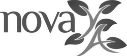Свідоцтво торговельну марку № 330435 (заявка m202125534): novaya; nova ya
