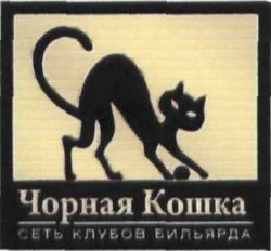 Заявка на торговельну марку № m201117263: чорная кошка; сеть клубов бильярда
