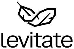Заявка на торговельну марку № m202518032: levitate