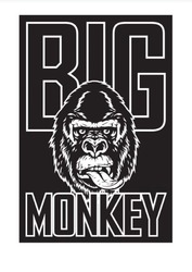Заявка на торговельну марку № m202522798: big monkey