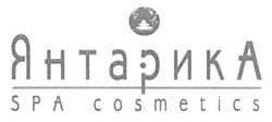 Свідоцтво торговельну марку № 219336 (заявка m201511576): янтарика; spa cosmetics