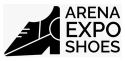 Заявка на торговельну марку № m202214971: arena expo shoes