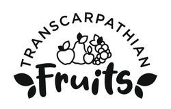 Заявка на торговельну марку № m202026680: transcarpathian fruits
