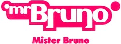 Заявка на торговельну марку № m200702696: mrbruno; mister bruno