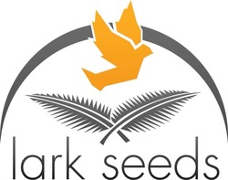 Свідоцтво торговельну марку № 253792 (заявка m201709239): lark seeds