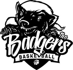 Заявка на торговельну марку № m201931929: badgers basketball