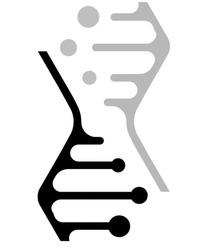 Заявка на торговельну марку № m202601720