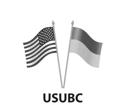 Заявка на торговельну марку № m202416343: usubc