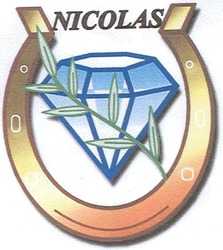 Свідоцтво торговельну марку № 95436 (заявка m200614055): nicolas