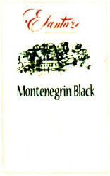 Свідоцтво торговельну марку № 183866 (заявка m201320738): elantazi; montenegrin black
