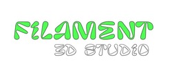 Заявка на торговельну марку № m202512022: filament 3d studio