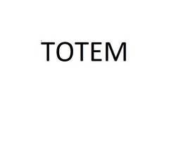 Свідоцтво торговельну марку № 334503 (заявка m202118051): totem; тотем