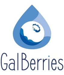 Свідоцтво торговельну марку № 315271 (заявка m202010682): galberries; gal berries