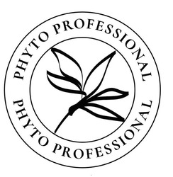 Заявка на торговельну марку № m202602540: phyto professional