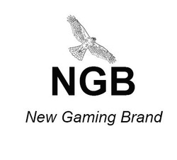 Свідоцтво торговельну марку № 308780 (заявка m201933193): new gaming brand; ngb