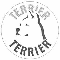 Свідоцтво торговельну марку № 140505 (заявка m201005244): terrier