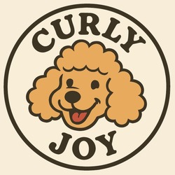 Заявка на торговельну марку № m202517001: curly joy