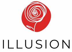 Заявка на торговельну марку № m202512024: illusion