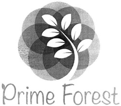 Заявка на торговельну марку № m202104275: prime forest