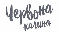 Заявка на торговельну марку № m202519209: червона калина