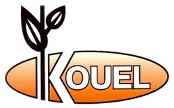 Свідоцтво торговельну марку № 26349 (заявка 99072455): kouel