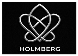 Заявка на торговельну марку № m202608737: holmberg