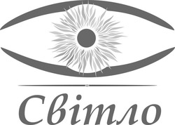 Заявка на торговельну марку № m202006779: світло