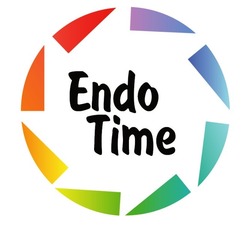 Заявка на торговельну марку № m202005327: endo time