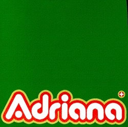 Заявка на торговельну марку № 2001031452: adriana
