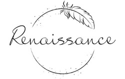 Свідоцтво торговельну марку № 335119 (заявка m202118132): renaissance