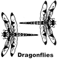 Свідоцтво торговельну марку № 130043 (заявка m200913408): dragonflies