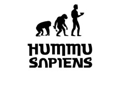 Свідоцтво торговельну марку № 330641 (заявка m202106223): hummu sapiens