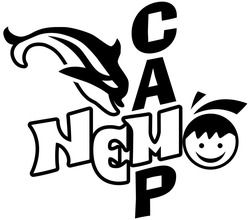 Заявка на торговельну марку № m202509648: nemo camp