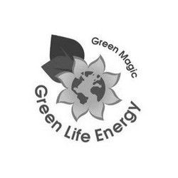 Свідоцтво торговельну марку № 332332 (заявка m202111887): green life energy; green magic