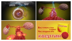 Заявка на торговельну марку № m202418660: шкідливі звички; стрес; екологія; нездорове харчування; вас турбує стан судин? час згадати про квертин