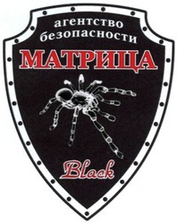 Заявка на торговельну марку № m201402273: агентство безопасности матрица; black