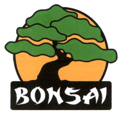 Свідоцтво торговельну марку № 268908 (заявка m201726054): bonsai