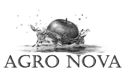 Свідоцтво торговельну марку № 222927 (заявка m201515656): agro nova