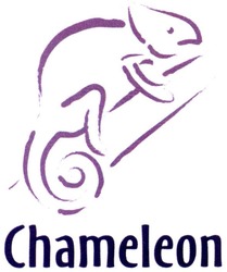 Заявка на торговельну марку № m200913479: chameleon