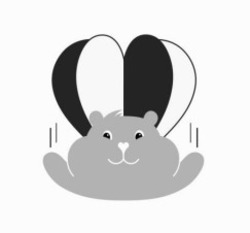 Заявка на торговельну марку № m202518433