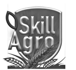 Заявка на торговельну марку № m202206688: skill agro