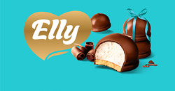 Заявка на торговельну марку № m202515445: elly