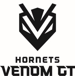 Свідоцтво торговельну марку № 299887 (заявка m201916284): hornets venom gt