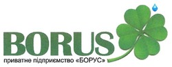 Свідоцтво торговельну марку № 268572 (заявка m201800038): borus; приватне підприємство борус; приватне підприємство "борус"