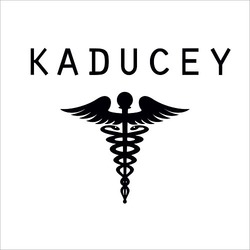 Свідоцтво торговельну марку № 327958 (заявка m202104713): kaducey