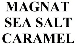 Свідоцтво торговельну марку № 346564 (заявка m202131287): magnat sea salt caramel